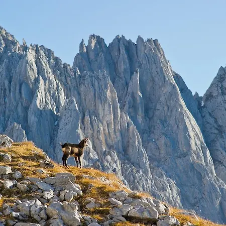 Gæstehus Schnapperhof Going am Wilden Kaiser