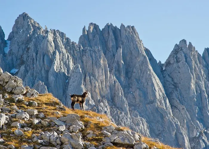 Maison d'hôtes Schnapperhof Going am Wilden Kaiser