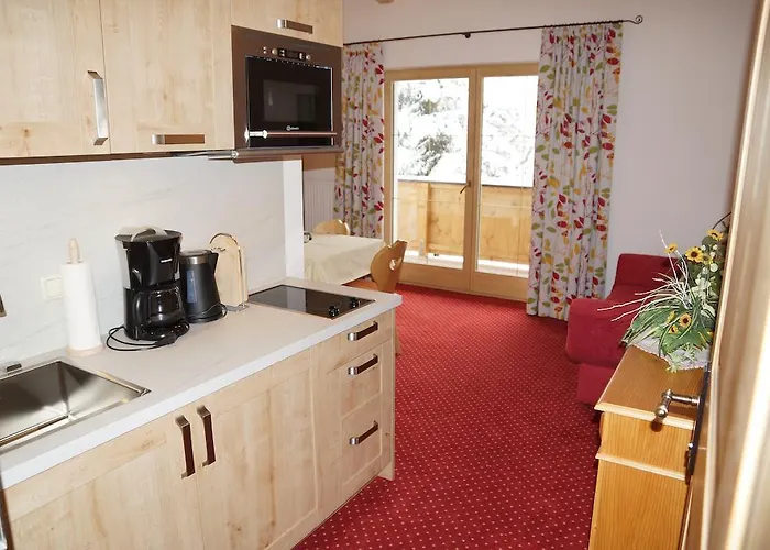 斯哈纳普尔霍夫酒店 Going am Wilden Kaiser